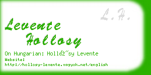 levente hollosy business card